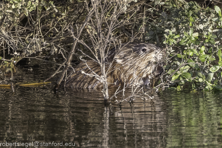 emily renzel wetlands 2023